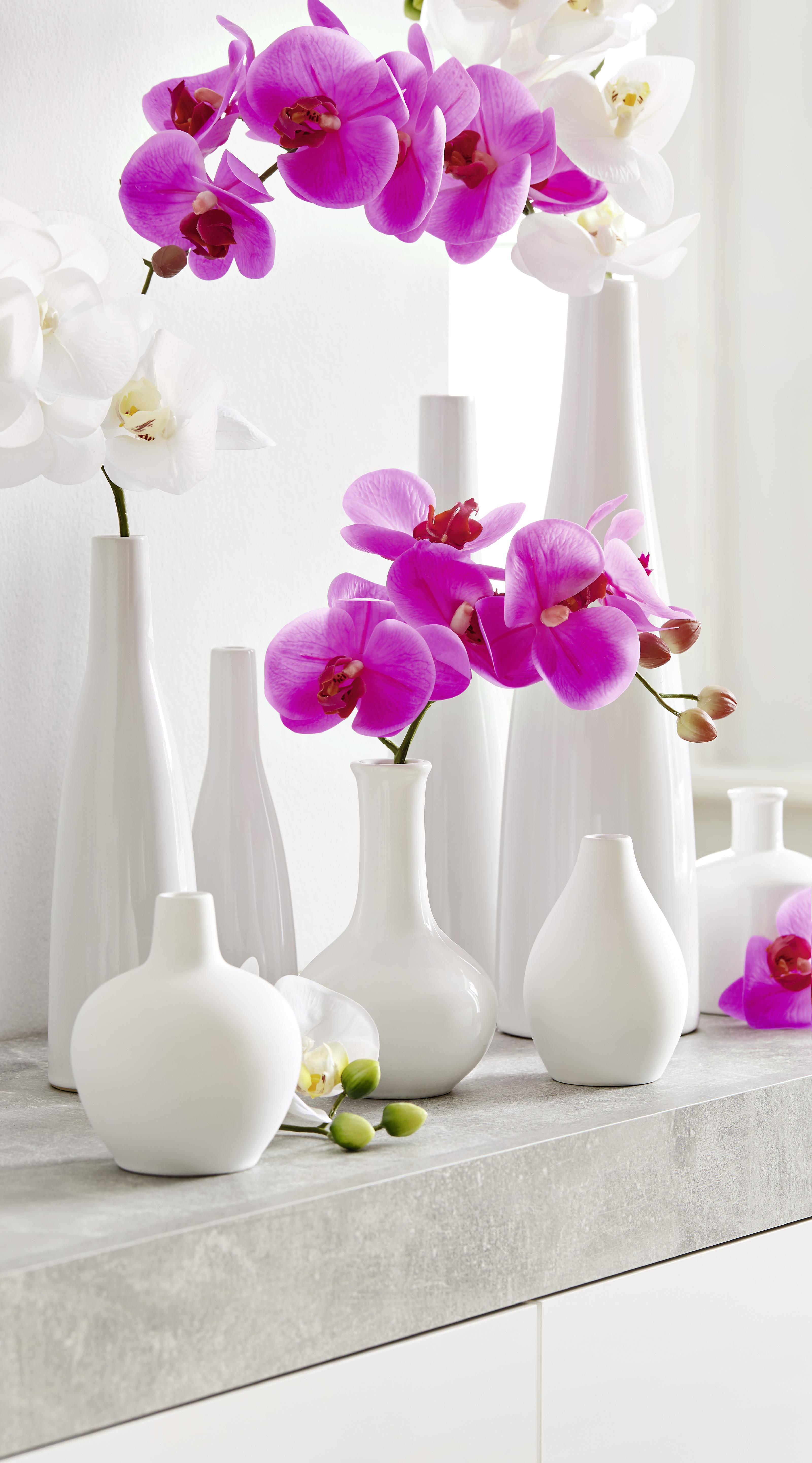 Vase Plancio aus Porzellan in Weiß - Weiß, MODERN, Keramik (8,5/33cm) - Modern Living