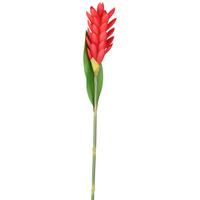 Tulpe Siam Tulpe I - rdeča/pink, Basics, umetna masa (60cm)
