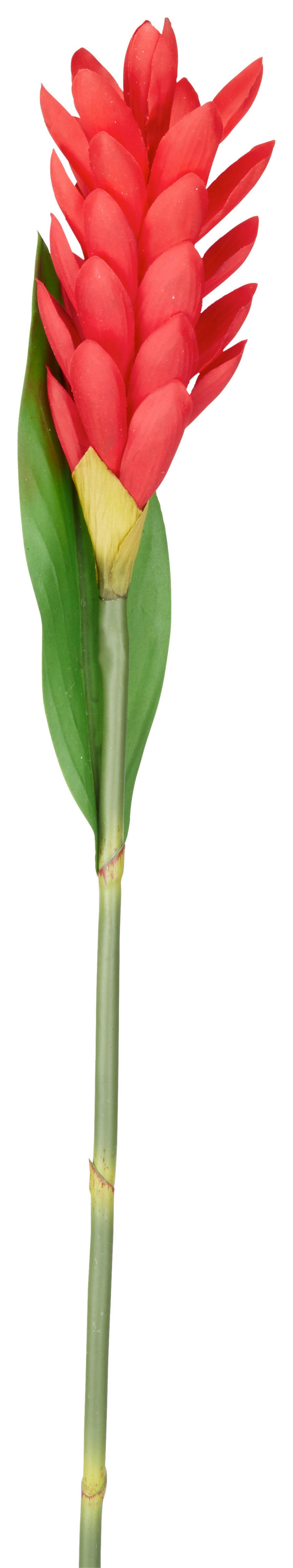 Tulpe Siam Tulpe I - rdeča/pink, Basics, umetna masa (60cm)