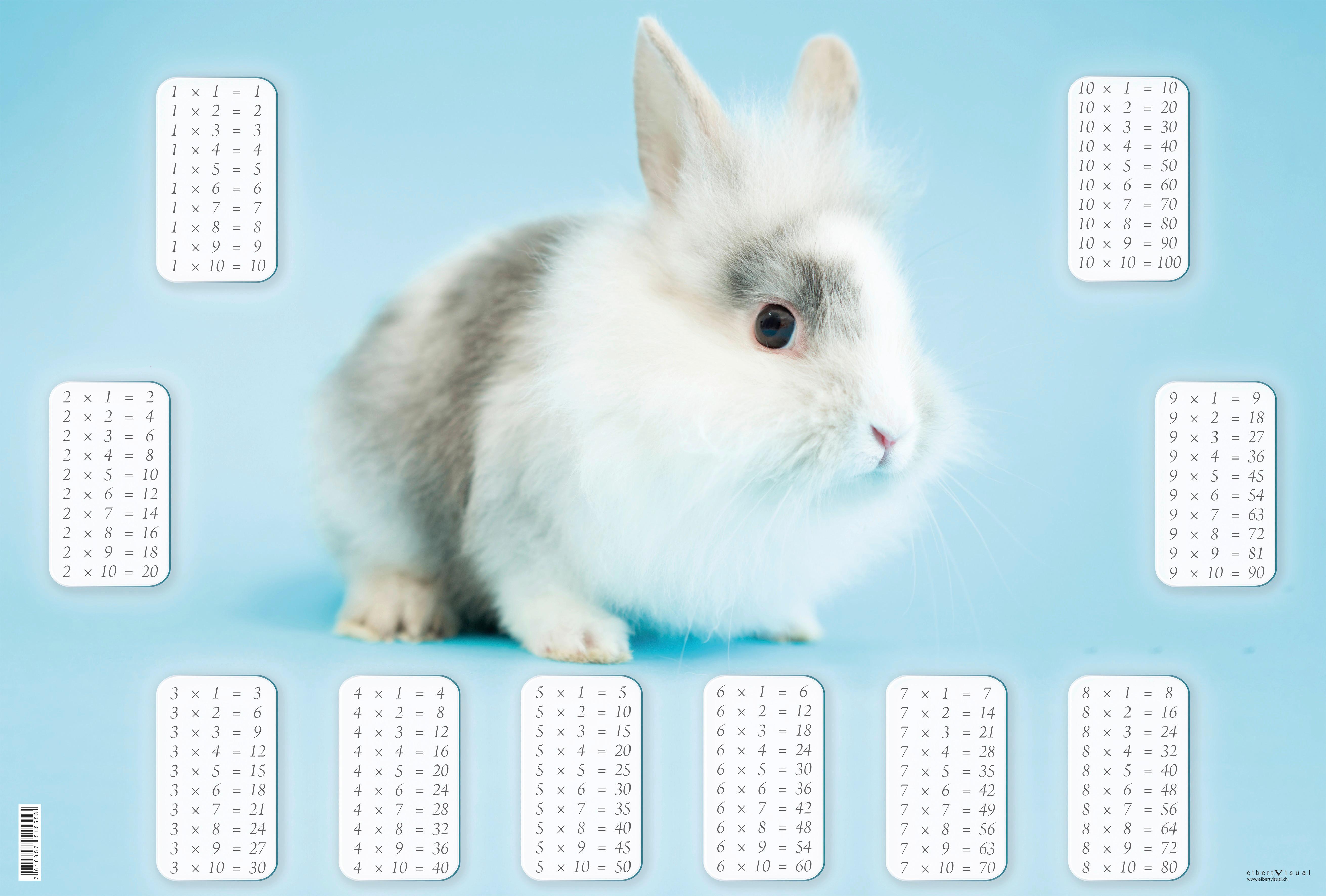 Schreibtischunterlage Bunny ca. 60x40cm - Kunststoff (60/40cm)