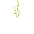 Umetna Rastlina Repinec - zelena, umetna masa (105cm) - Mömax modern living Umetna Rastlina Repinec - zelena, umetna masa (105cm) - Mömax modern living