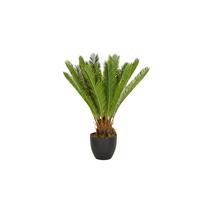 Umetna Rastlina Cycas - črna/zelena, Basics, umetna masa/tekstil (70/70/70cm) - MID.YOU