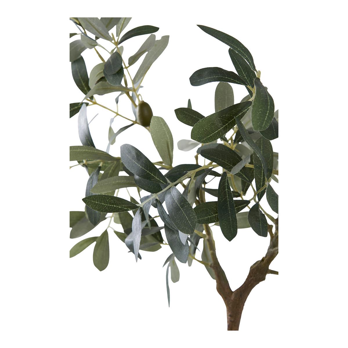 Kunstpflanze Olive Tree Grün - Grün, Design (22.5/61/36.5cm)