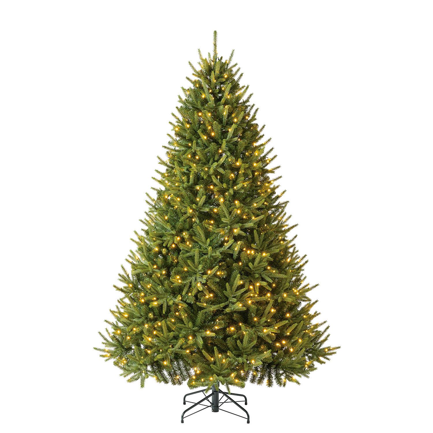 Weihnachtsbaum Evergreen Richmond Grün H: ca. 228cm - Waldgrün, Basics, Kunststoff (142/228cm)