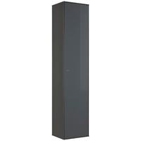 Hängeelement Max Box in Anthrazit - Anthrazit, MODERN, Glas/Holzwerkstoff (38/175/32cm) - Premium Living