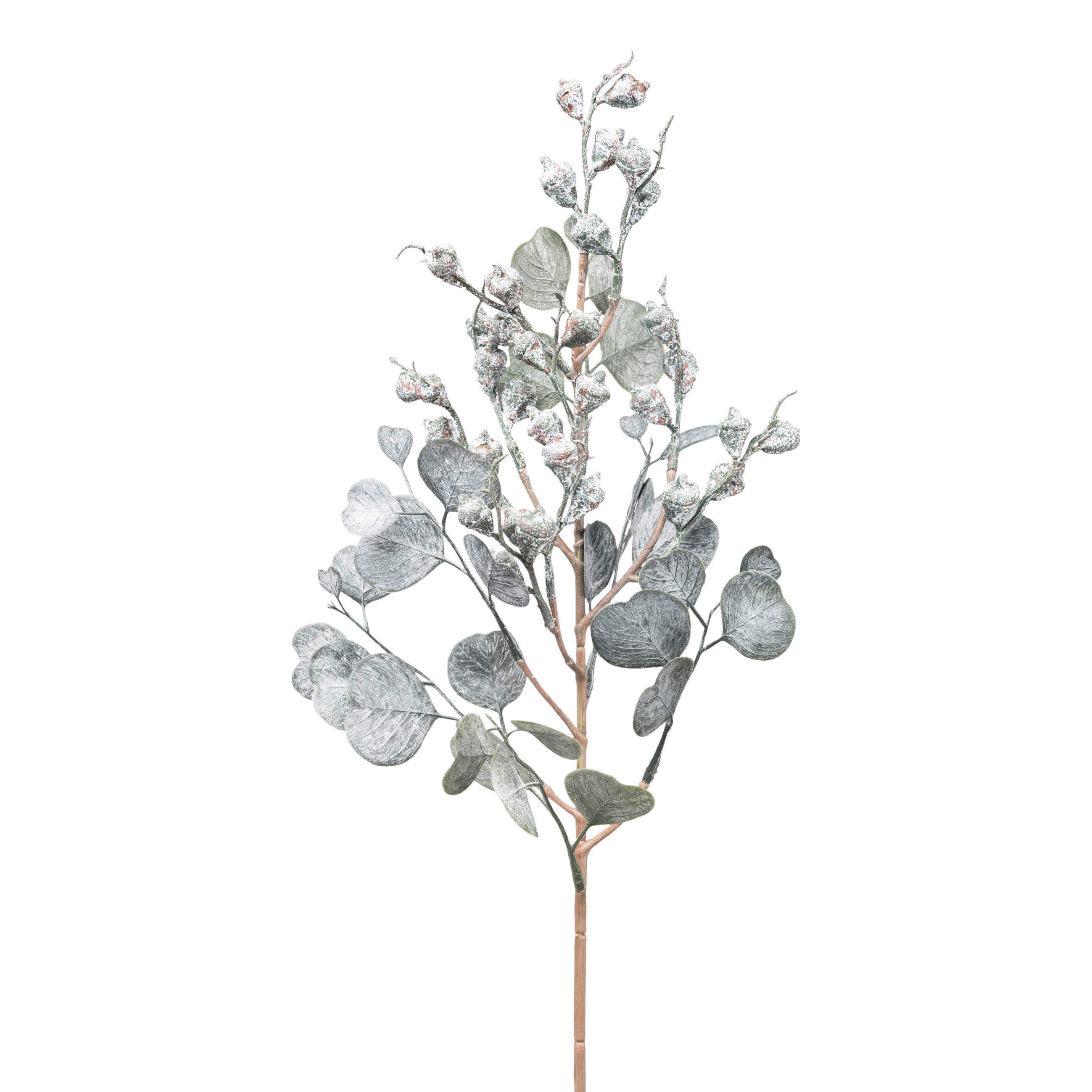 Okrasna Vejica Eukalyptuszweig I - siva, Konvencionalno, umetna masa (53cm) - Modern Living