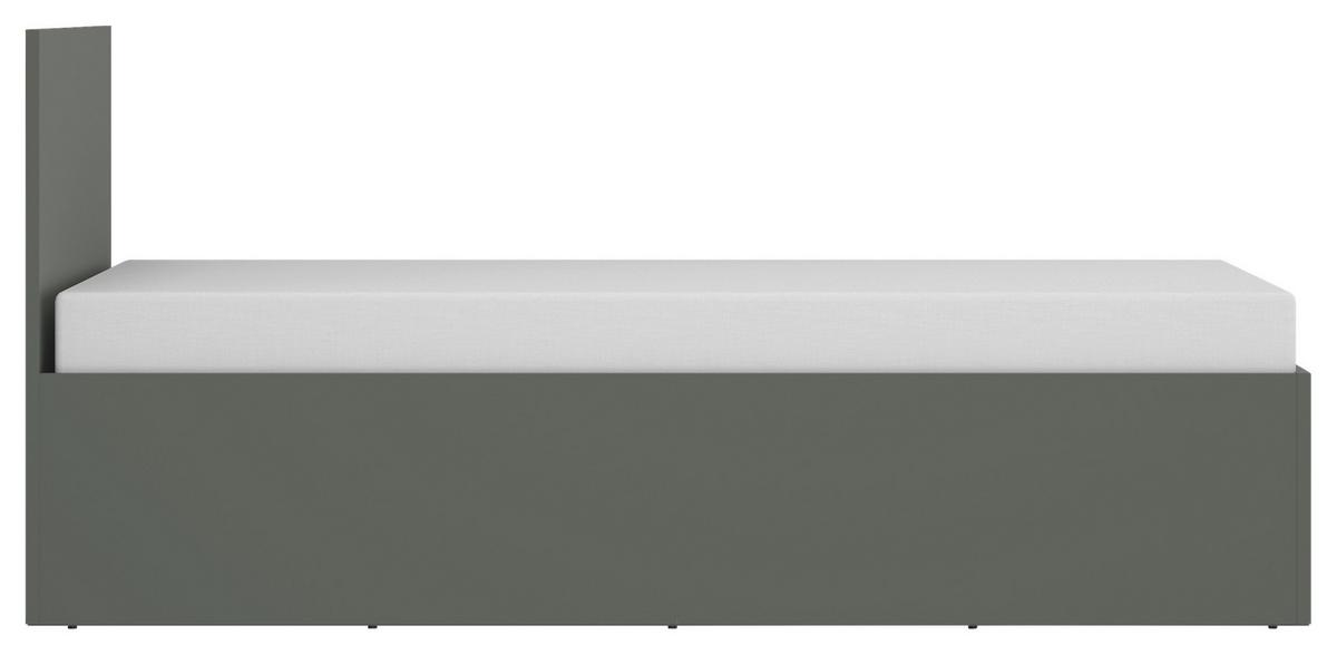 Krevet Pozzi - zelena/crna, Moderno, drvni materijal/plastika (120/200cm) - Modern Living