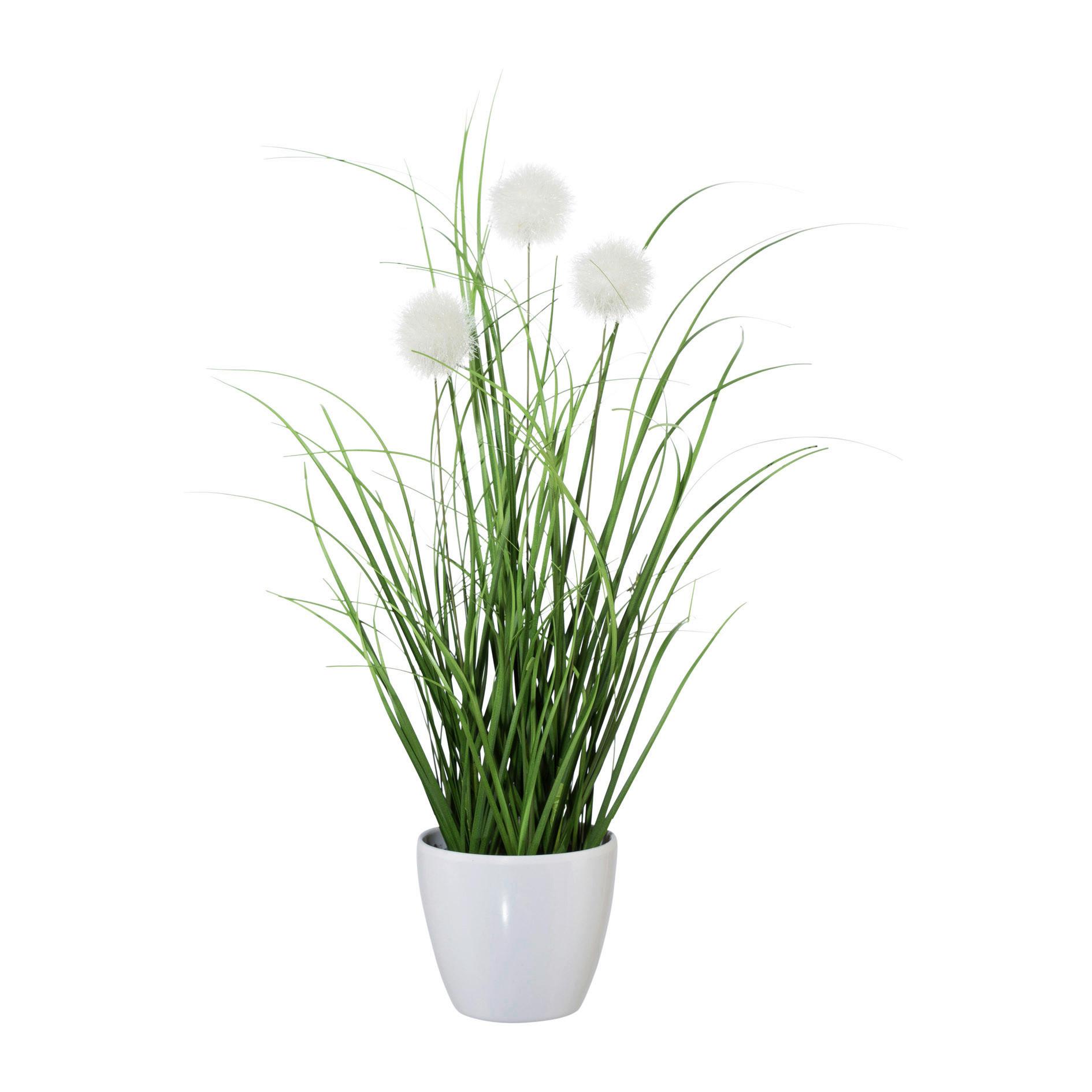 Kunstpflanze Grün/Creme/Weiß - Creme/Weiß, Basics, Kunststoff (36cm)