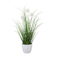 Kunstpflanze Grün/Creme/Weiß - Creme/Weiß, Basics, Kunststoff (36cm)