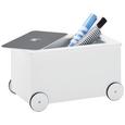 Aufbewahrungsbox in Weiß - Weiß, Holzwerkstoff (53,4/31/33cm) - MÖMAX modern living