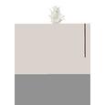 Dekorág Agave - Barna/Fehér, Műanyag (75cm) - Mömax modern living