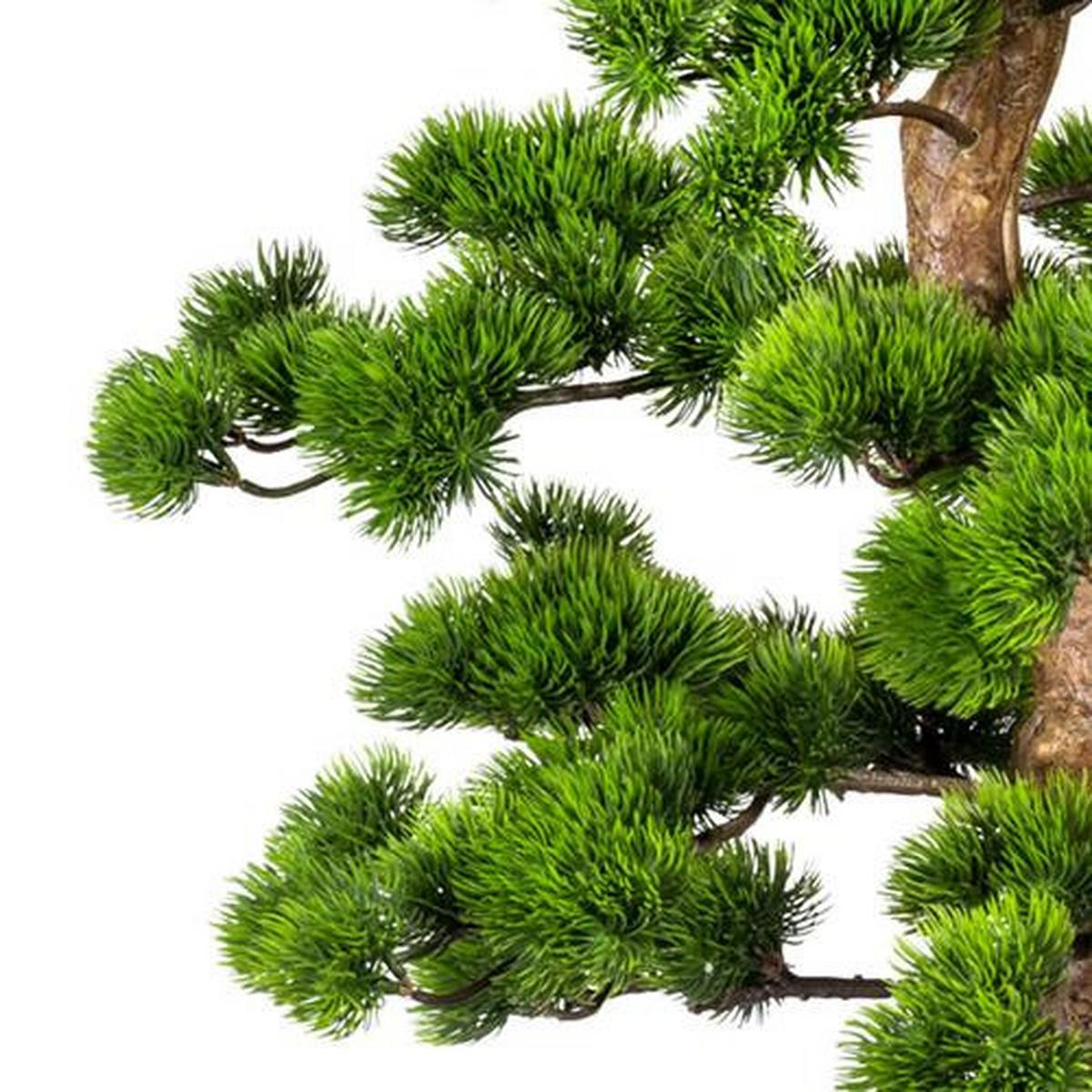 Kunstpflanze Bonsai ca. 110cm - Schwarz/Braun, Basics, Kunststoff (50/110cm) - P & B