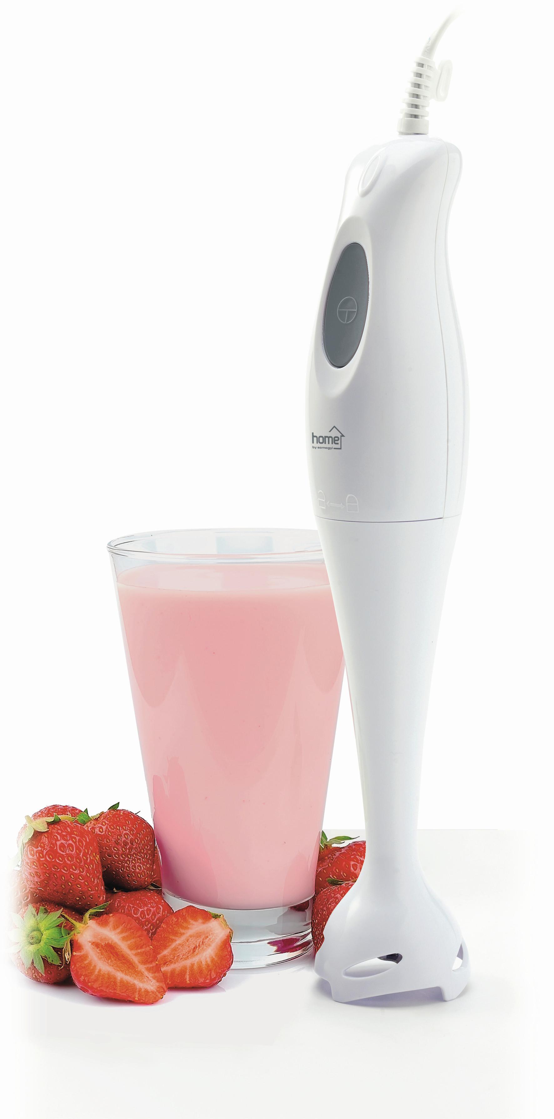 Botmixer Home Hg Bm 12 - fehér, műanyag/fém (8/39/7cm)
