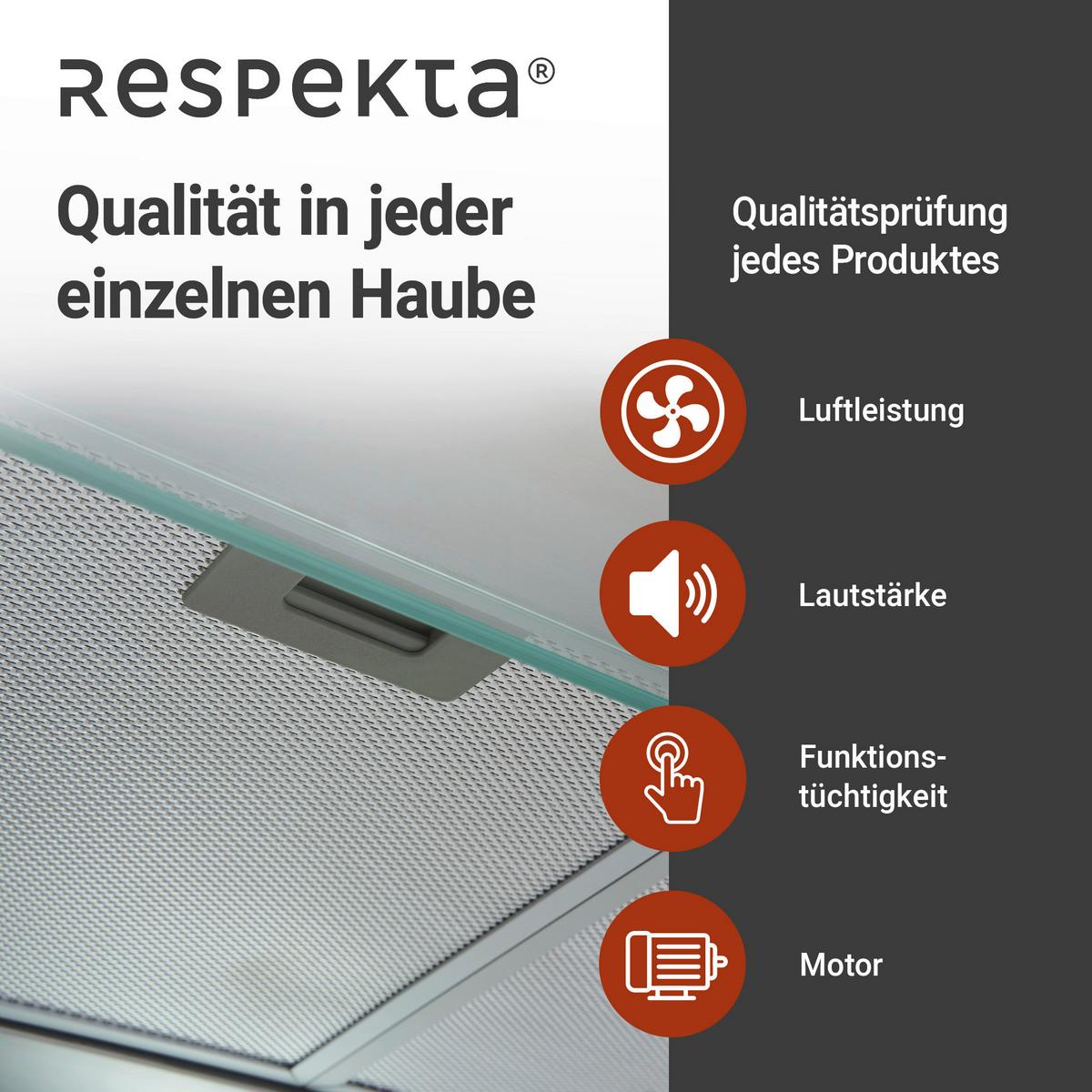 Dunstabzugshaube Tila ca. 60/13/50 cm Edelstahlfarben - Edelstahlfarben, Trend, Glas/Metall (60/13/50cm) - Respekta