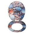 Deska Za Wc-školjko Shell -sb- - večbarvno, Moderno, les (37/43,5/6cm) Deska Za Wc-školjko Shell -sb- - večbarvno, Moderno, les (37/43,5/6cm)