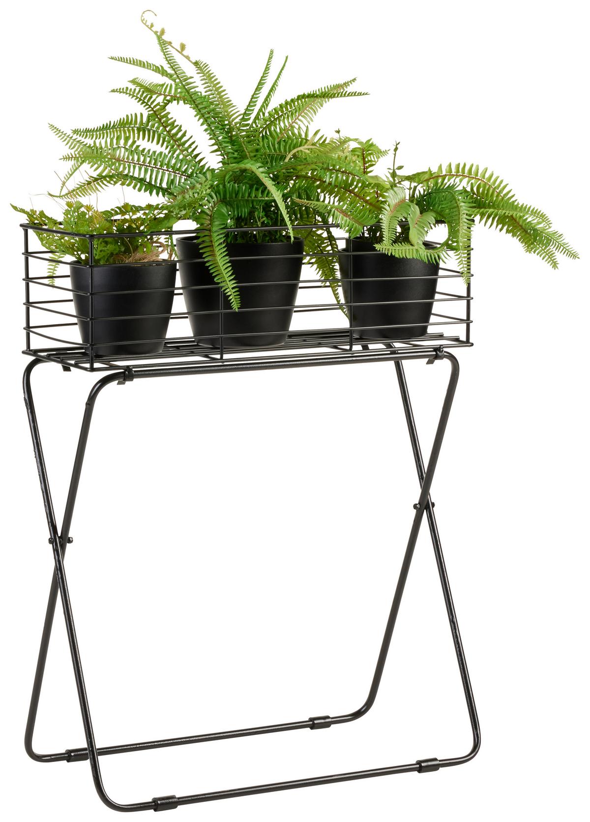 Növénytartó Black Times - fekete, Basics, fém (50/64/24cm) - Modern Living