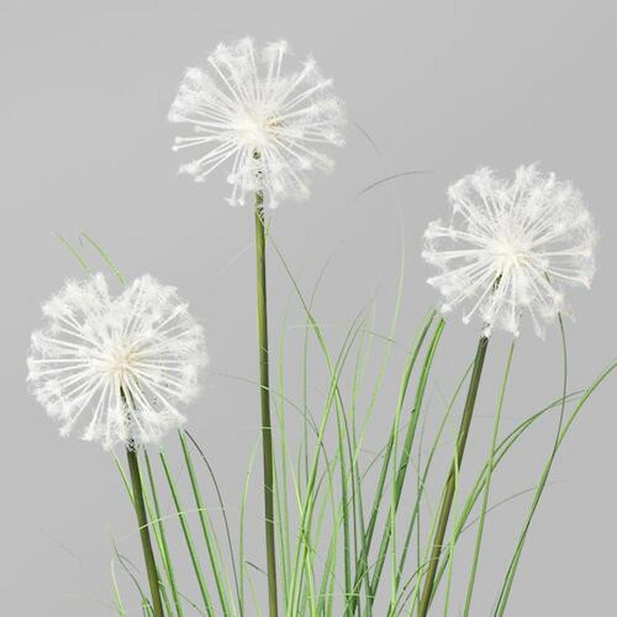 Kunstpflanze Daisy mit Übertopf, ca. 128cm - Creme/Weiß, MODERN, Kunststoff/Metall (128cm) - P & B