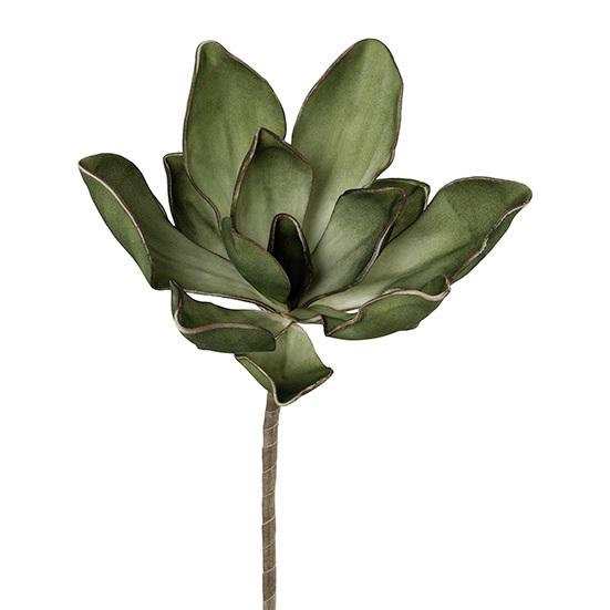 Kunstblume Magnolie in Grün/Braun - Braun/Grün, Basics, Kunststoff (10/70cm)
