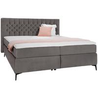 Boxspring Krevet One - siva/crna, Konvencionalno, tekstil/drvo (160/200cm) - Mömax