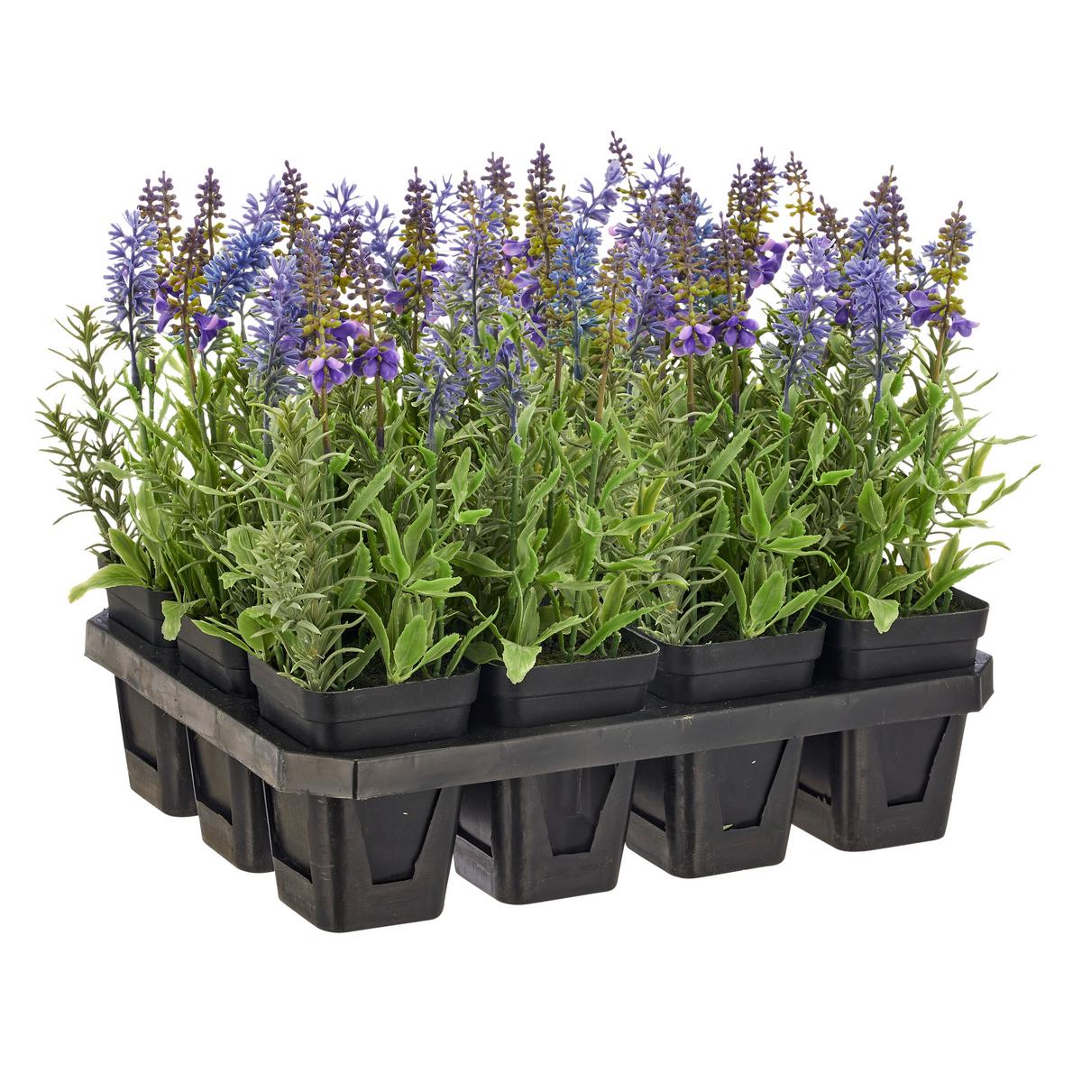 Sivka Lavendel Ii -Paz- - lila/črna, Basics, kovina/umetna masa (25cm) - Mömax