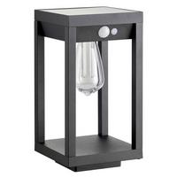 LAMPA SOLARNA OXNARD - przezroczysty, Basics, tworzywo sztuczne (15/15/40cm) - Ambia Garden