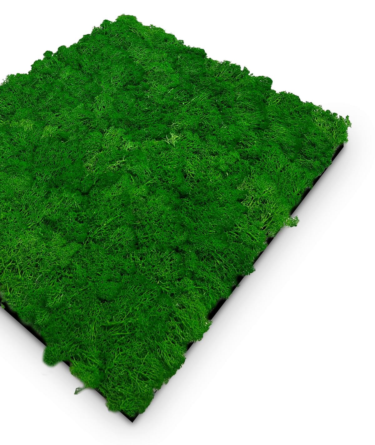 PANEL AKUSTYCZNY 11100 NATURE GREEN - zielony, Konventionell, materiały naturalne (52/52/4cm)