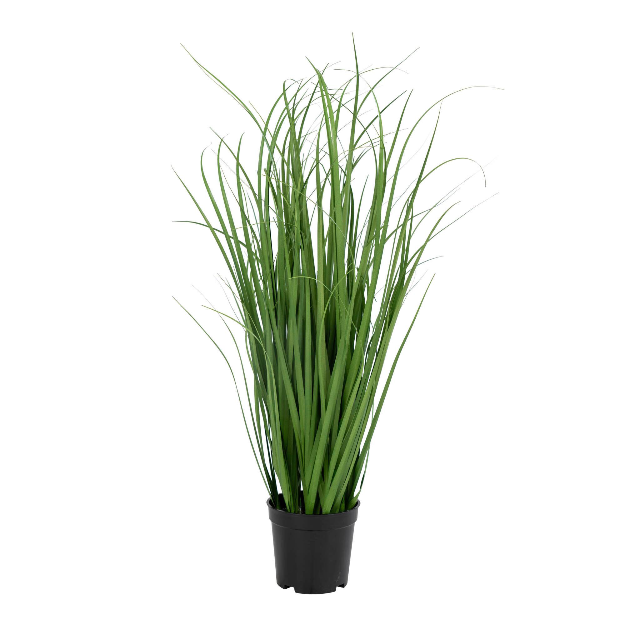 Kunstpflanze Poa Grass Grün - Schwarz/Grün, Basics, Kunststoff (68cm)