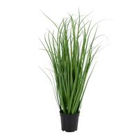 Kunstpflanze Poa Grass Grün - Schwarz/Grün, Basics, Kunststoff (68cm)