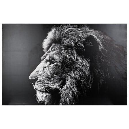 Slika S Okvirom Lion 118x78cm - bijela/crna, Basics, drvni materijal (118/2,8/78cm)