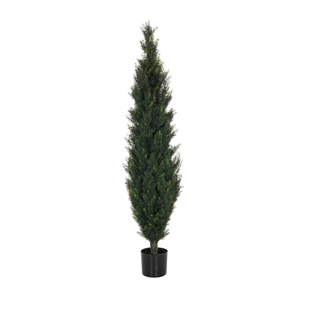 Umetna Rastlina Cedrus - črna/zelena, Basics, umetna masa (35/152/35cm) - MID.YOU