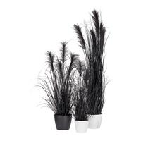 Kunstpflanze Pampasgras I in Schwarz - Schwarz, MODERN, Kunststoff (125cm) - Modern Living