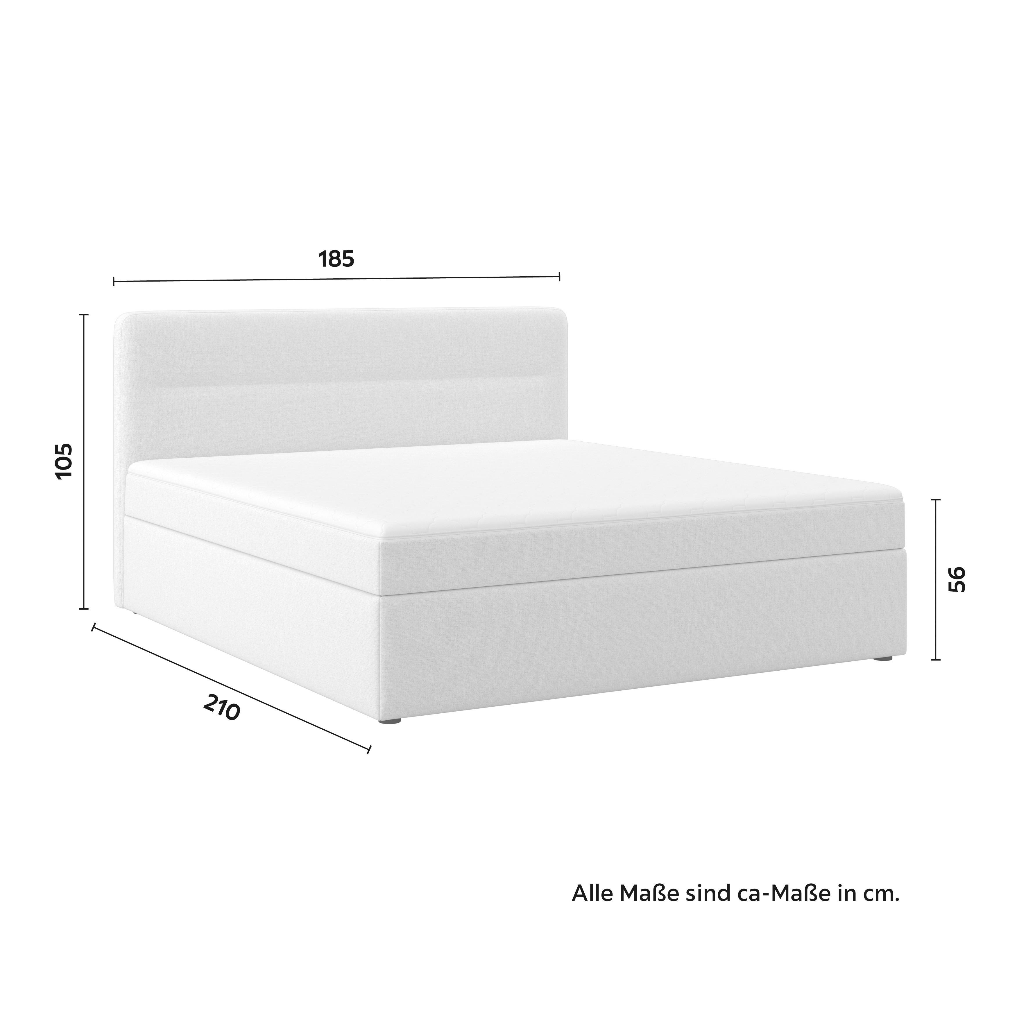 BOXSÄNG MARCO - ljusgrå/svart, Modern, trä/textil (180/200cm) - Bessagi Home