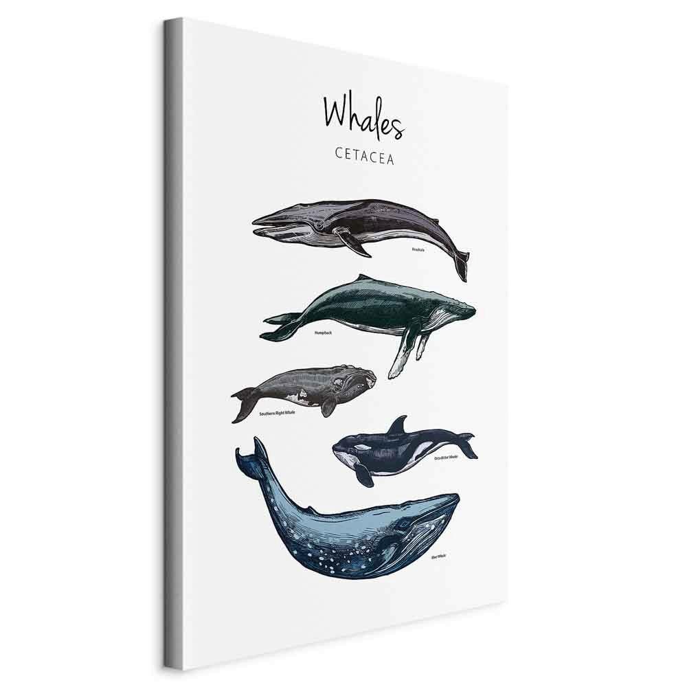 Slika Na Platnu Whales - siva/svetlo siva, Basics, tekstil/leseni material (40/60/1.2cm) - artgeist