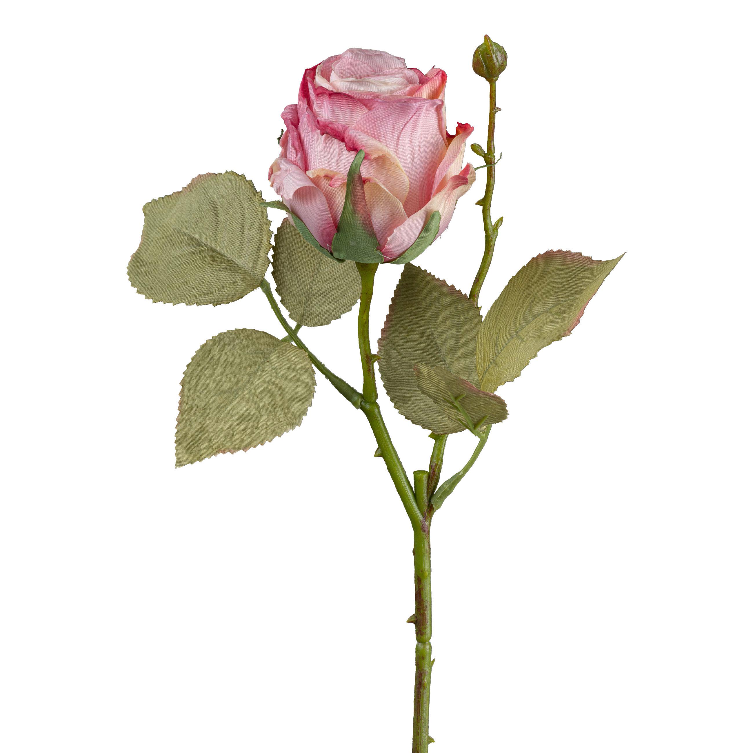 Okrasna Vejica Vintagerose Ii - temno roza/zelena, Konvencionalno, umetna masa (45cm) - Modern Living