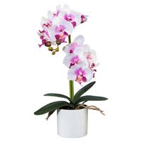 Orhidee phalaenopsis Maren - lila/alb, Romantik / Landhaus, plastic/metal (45cm) - Modern Living
