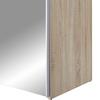 Ormar S Kliznim Vratima Action - boje hrasta/boje aluminija, Design, staklo (170/195/59cm) - Modern Living