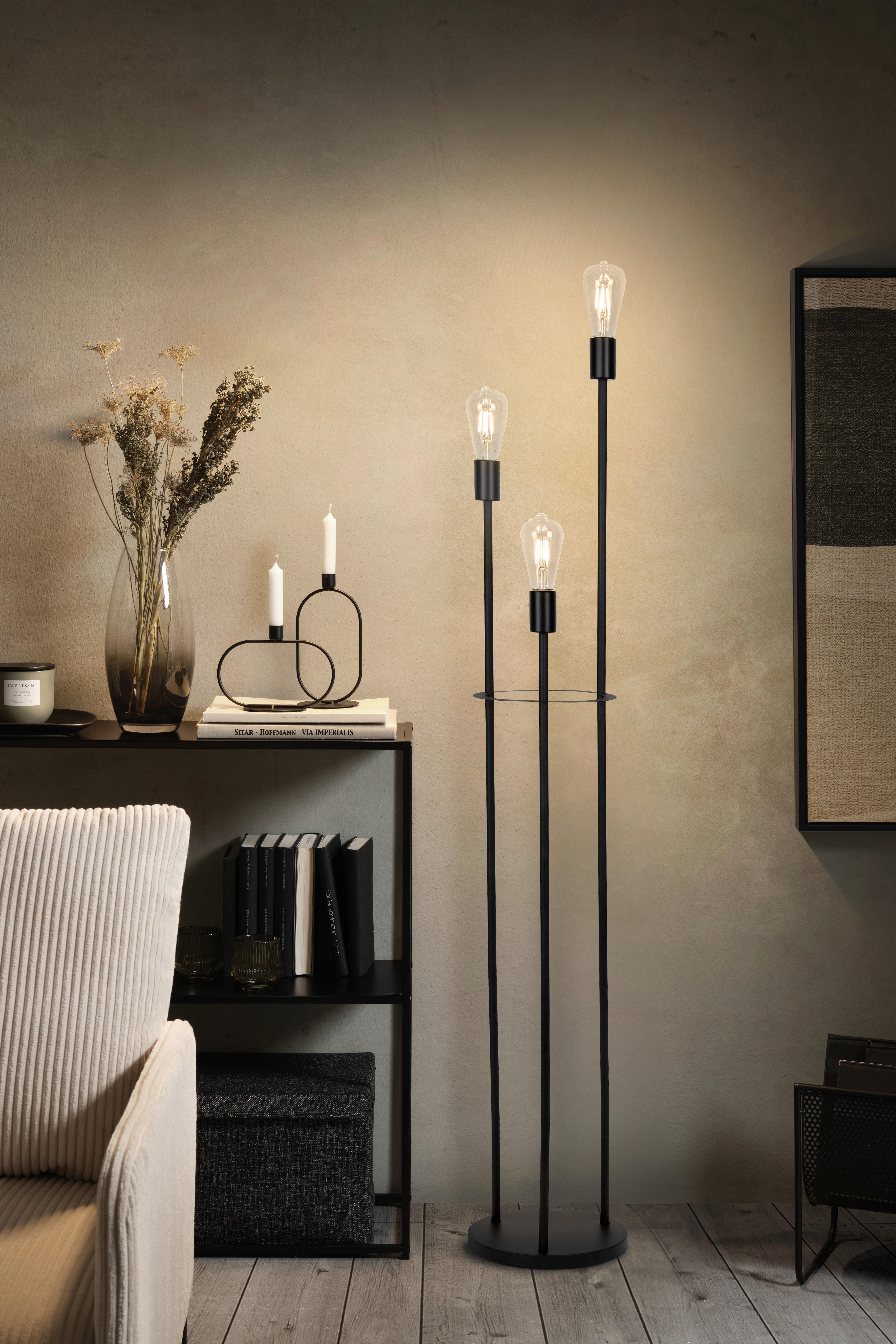Stoječa Svetilka Molly, Črna, 140 Cm, 3 X 24 W - črna, Konvencionalno, kovina (25/140cm) - Modern Living