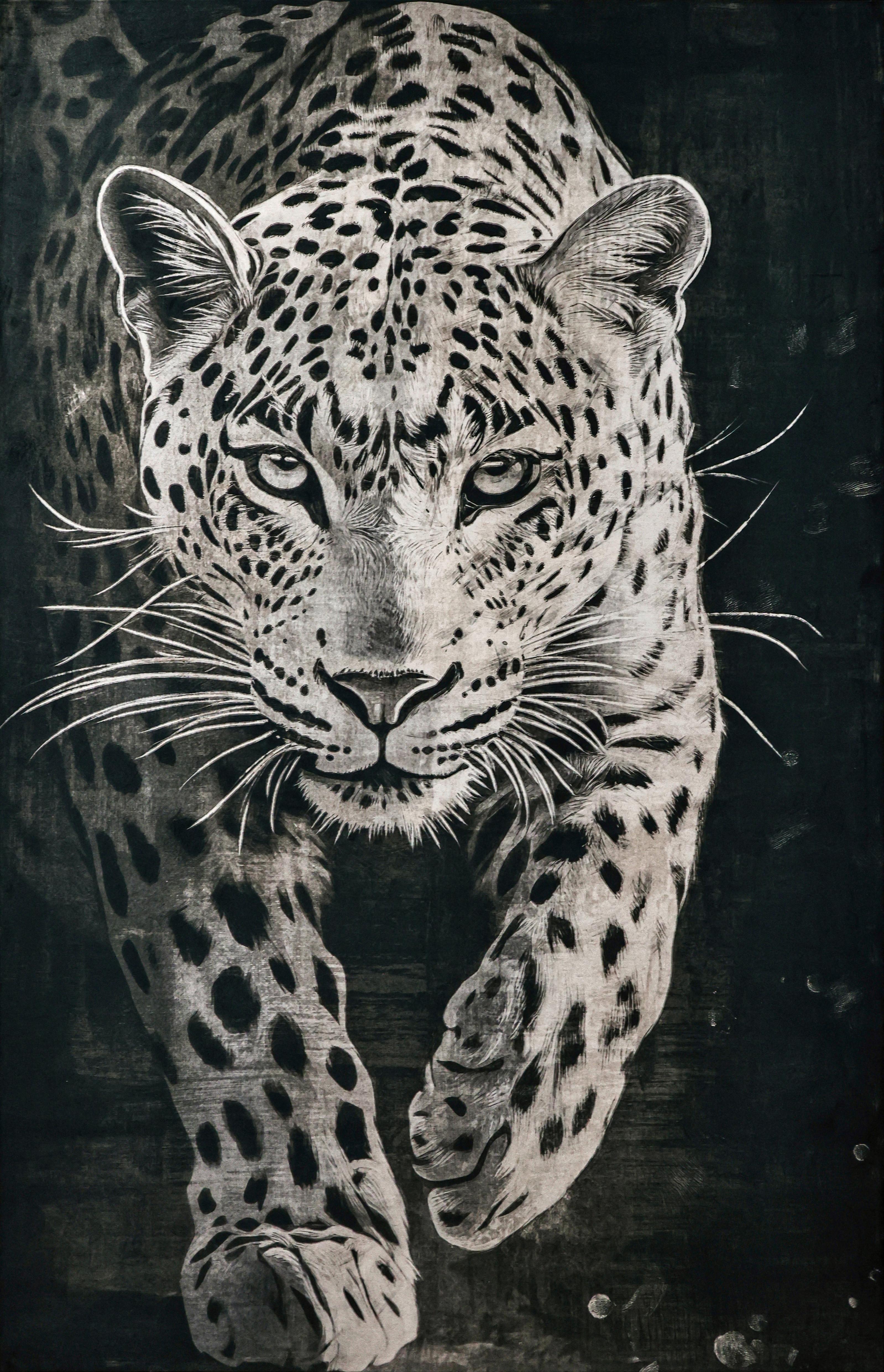 Slika Wild Cat 60x90cm - bijela/crna, Moderno, drvni materijal/tekstil (60/90cm) - Mömax