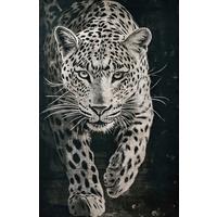 Slika Wild Cat 60x90cm - bijela/crna, Moderno, drvni materijal/tekstil (60/90cm) - Mömax