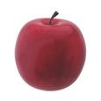 Dekohänger Flora aus Kunststoff - Rot, KONVENTIONELL, Kunststoff (6,5cm) - Mömax modern living Dekohänger Flora aus Kunststoff - Rot, KONVENTIONELL, Kunststoff (6,5cm) - Mömax modern living