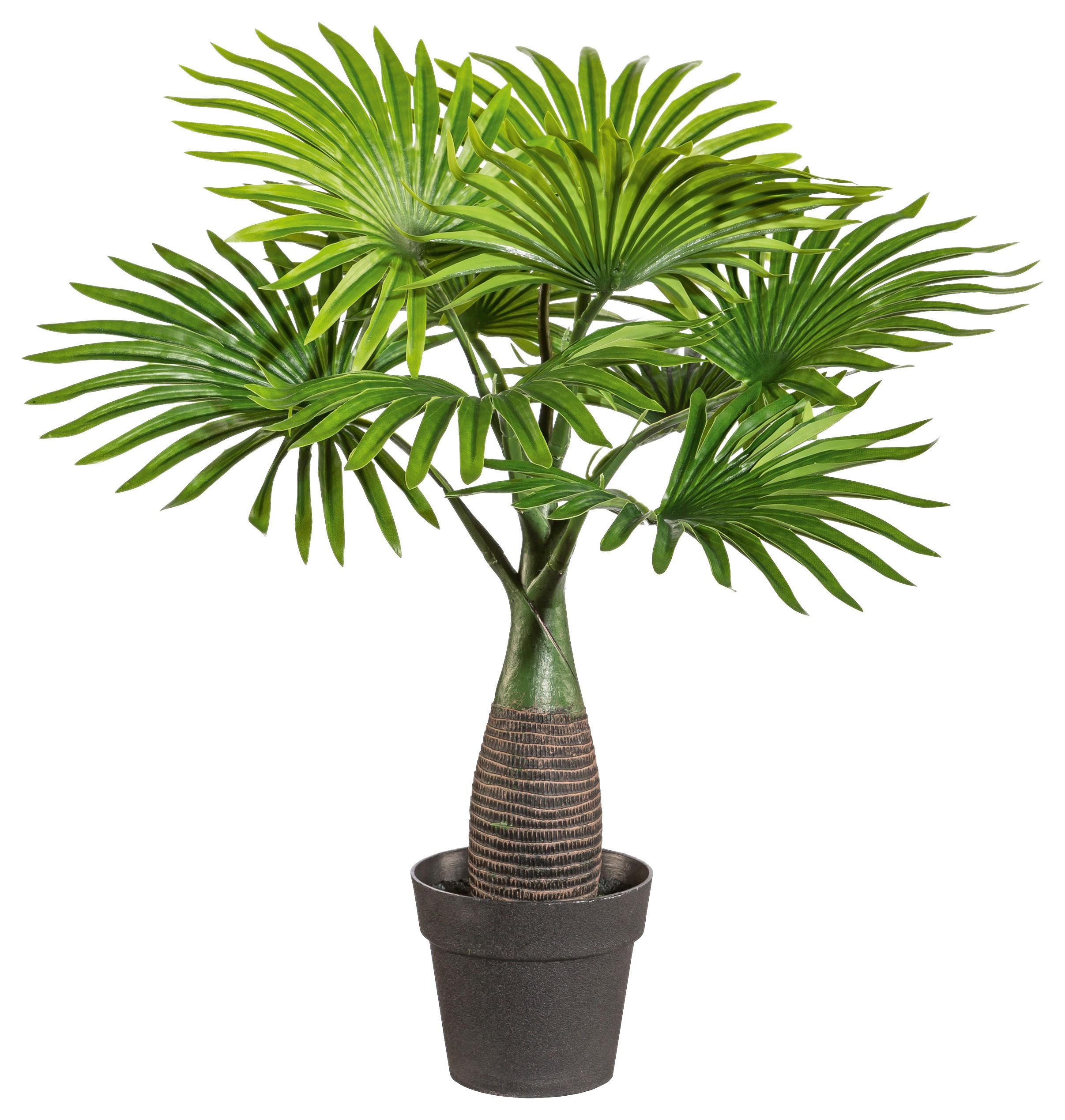 Kunstpflanze Palmen Grün/Braun - Schwarz/Braun, Design, Kunststoff (45cm)