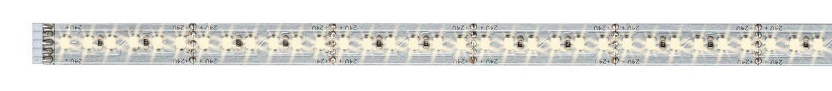 LED-Strip MaxLED 1000 Silberfarben max. 12 Watt - Silberfarben, Basics, Metall (100cm) - Paulmann