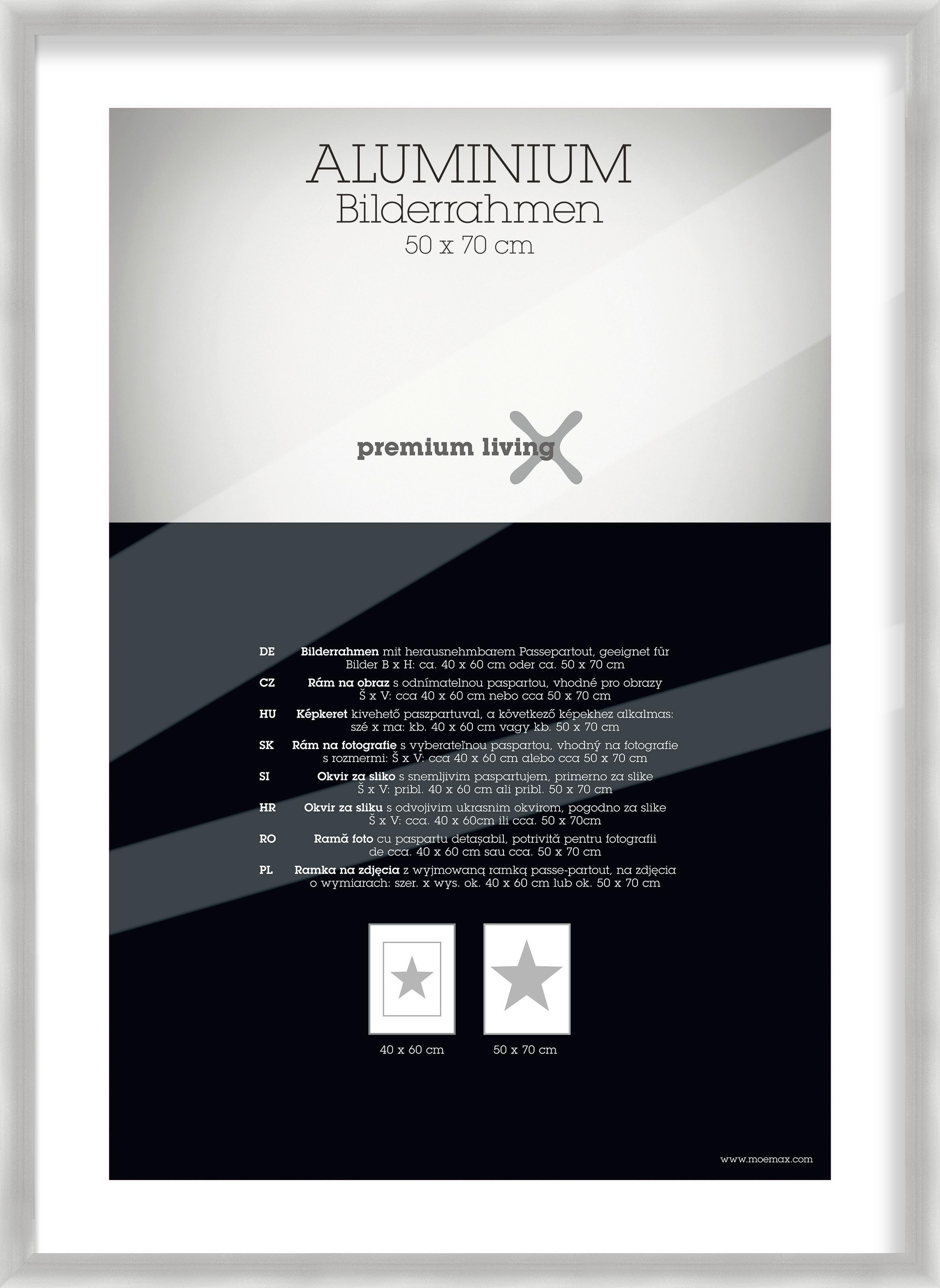 Bilderrahmen Aluminium ca. 53x73cm - Silberfarben, Basics, Metall (53,1/73,1/2.2cm) - Premium Living