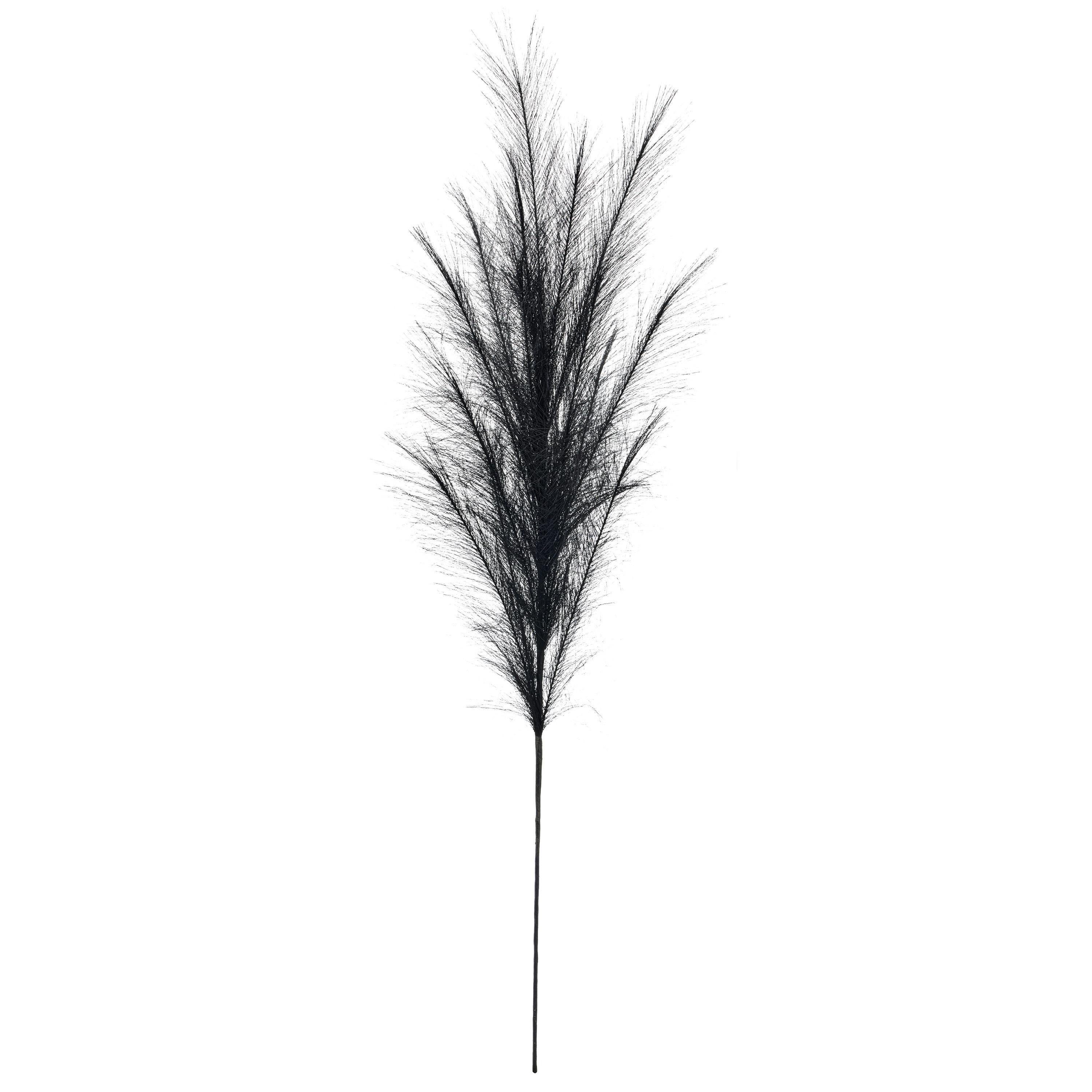 Umetna Rastlina Pampasgras Ii - črna, Basics, umetna masa (120cm) - Mömax