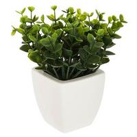 Plantă artificială Blanc - Basics (16/16/15cm)