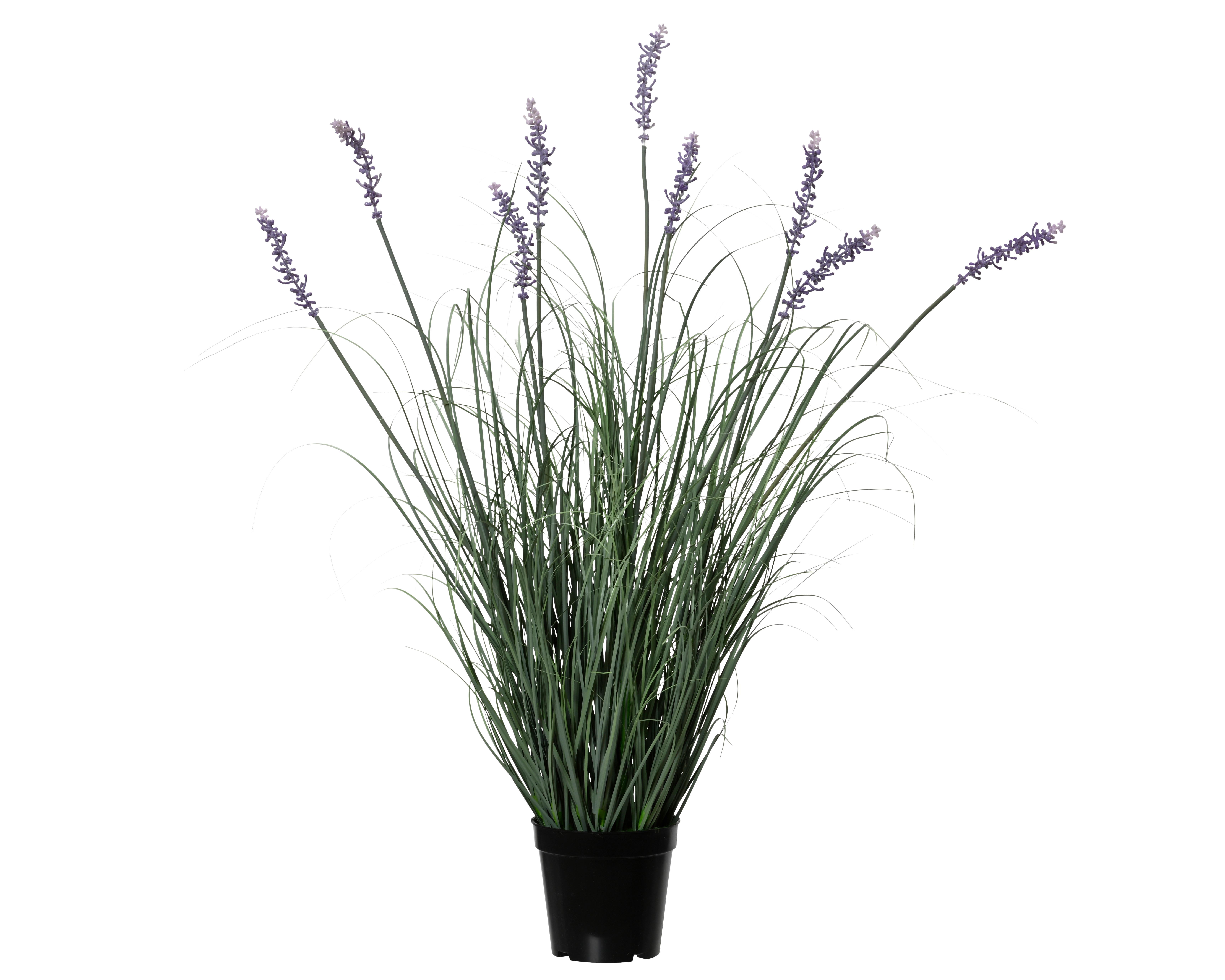 Plantă artificială Lavy - Basics (28/28/80cm)