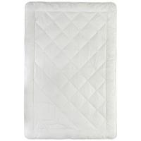 KOŁDRA CAŁOROCZNA LIZARD - biały, Konventionell, tkanina (155/220cm) - Sleeptex