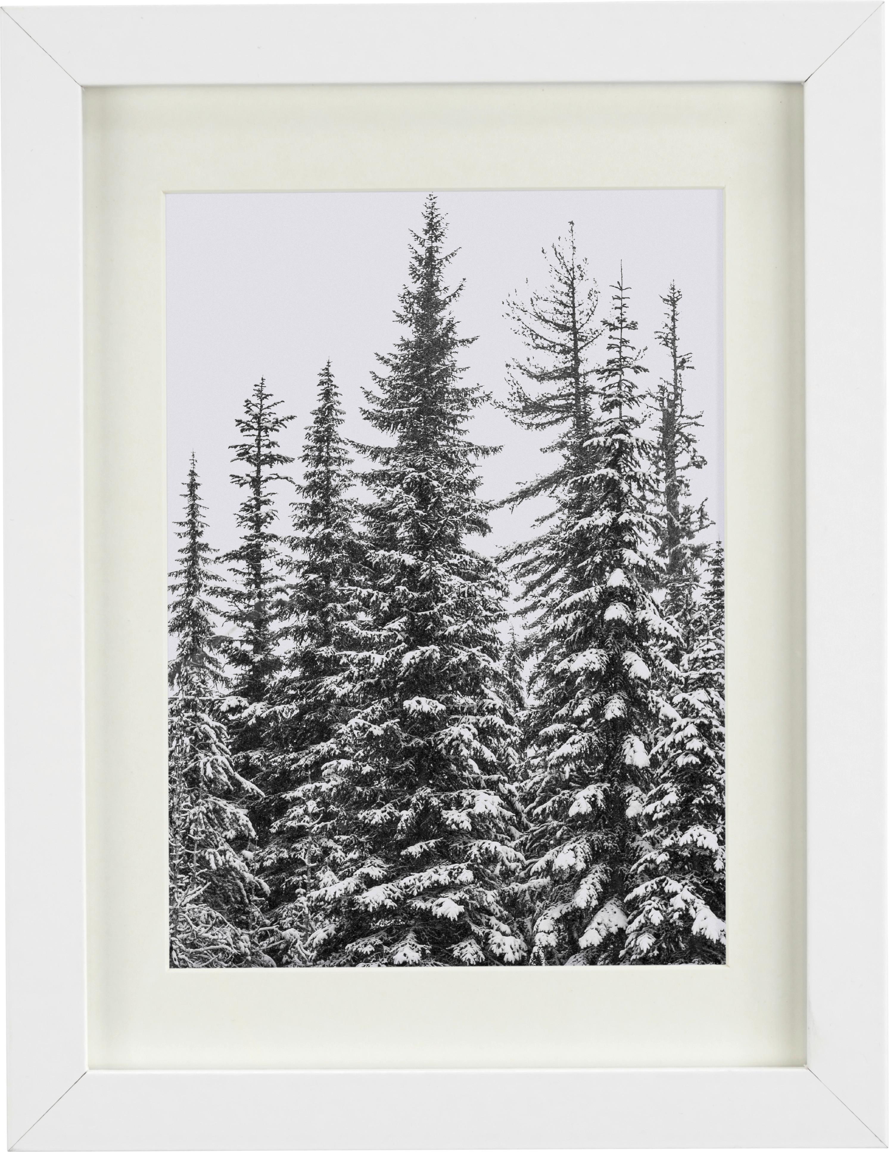 Okvir Za Slike Gitta - bijela, Modern, staklo/drvni materijal (50/70cm) - Modern Living