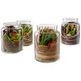 Pflanzentopf Tina Braun/Grün - Transparent/Braun, MODERN, Glas/Kunststoff (12,5/16cm) Pflanzentopf Tina Braun/Grün - Transparent/Braun, MODERN, Glas/Kunststoff (12,5/16cm)