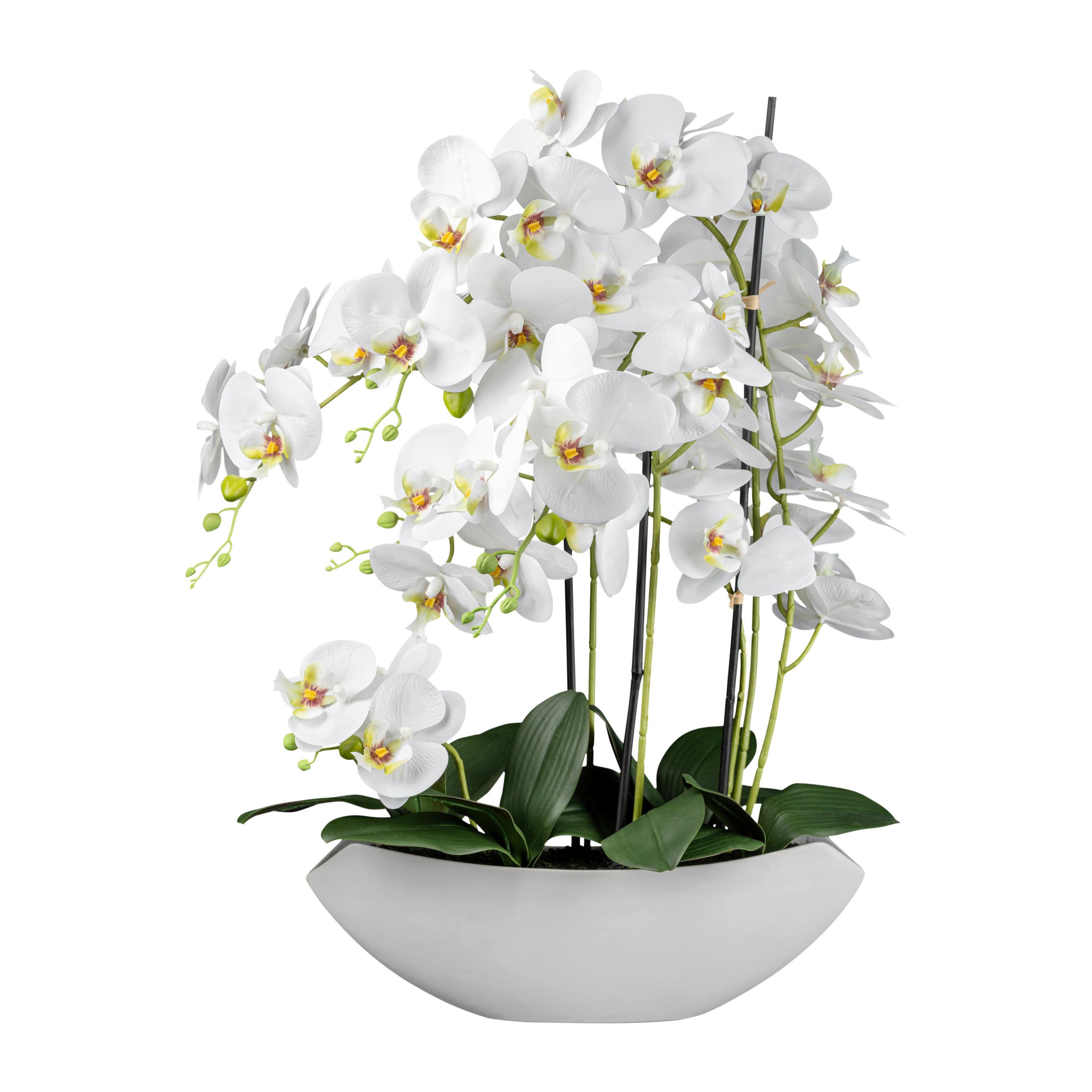Kunstpflanze Orchideen Weiß/Grün - Weiß/Grün, Design, Keramik/Kunststoff (63cm) - P & B